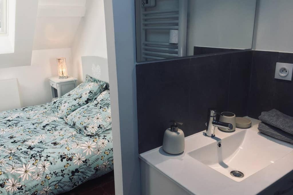 Tonnerre Grand Studio De Charme Au Coeur De La Ville Екстериор снимка